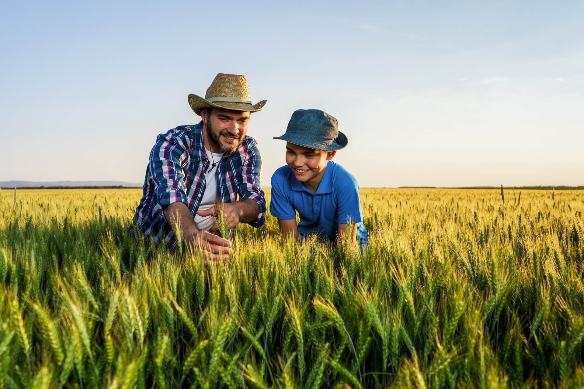 Consórcio como potencializador do agronegócio