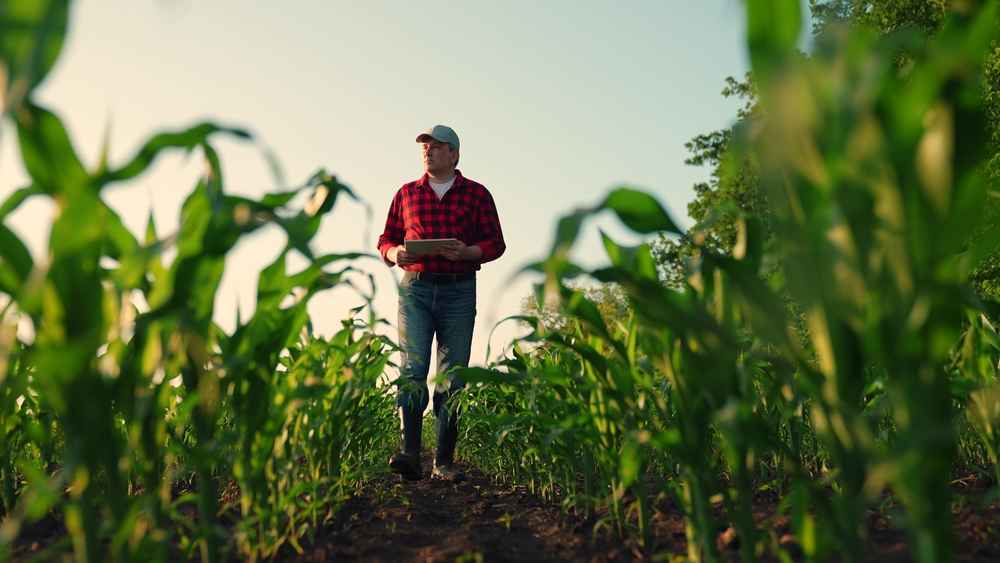 Consórcio para o agro: alternativa de crédito para produtores